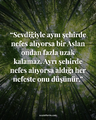 Sevdiğiyle aynı şehirde nefes alıyorsa bir Aslan ondan fazla uzak kalamaz. Ayrı şehirde nefes…