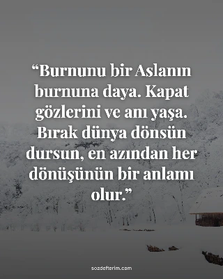 Burnunu bir Aslanın burnuna daya. Kapat gözlerini ve anı yaşa. Bırak dünya dönsün dursun, en…