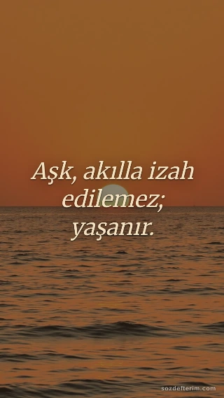 Aşk, akılla izah edilemez; yaşanır. — Yunus Emre