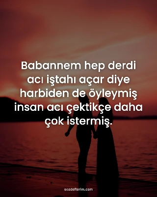 Babannem hep derdi acı iştahı açar diye harbiden de öyleymiş insan acı çektikçe daha çok istermiş.