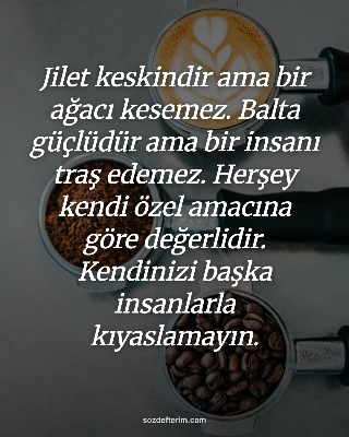 Jilet keskindir ama bir ağacı kesemez. Balta güçlüdür ama bir insanı traş edemez. Herşey kendi özel…