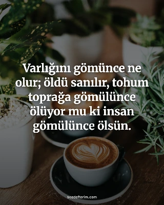 Varlığını gömünce ne olur; öldü sanılır, tohum toprağa gömülünce ölüyor mu ki insan gömülünce ölsün.