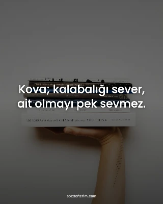Kova; kalabalığı sever, ait olmayı pek sevmez.