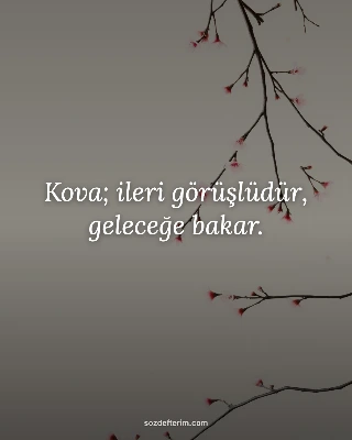 Kova; ileri görüşlüdür, geleceğe bakar.