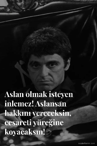 Aslan olmak isteyen inlemez! Aslansan hakkını vereceksin, cesareti yüreğine koyacaksın!