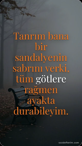 Tanrım bana bir sandalyenin sabrını verki, tüm götlere rağmen ayakta durabileyim.