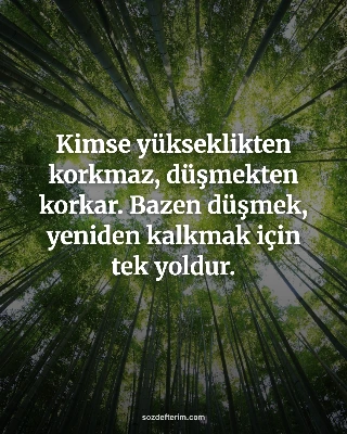 Kimse yükseklikten korkmaz, düşmekten korkar. Bazen düşmek, yeniden kalkmak için tek yoldur.