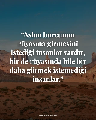 Aslan burcunun rüyasına girmesini istediği insanlar vardır, bir de rüyasında bile bir daha görmek…