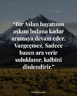 Bir Aslan hayatının aşkını bulana kadar aramaya devam eder. Vazgeçmez. Sadece bazen ara verir…