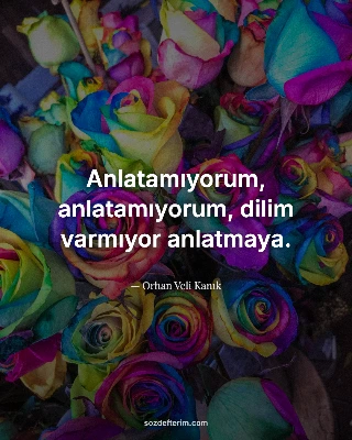 Anlatamıyorum, anlatamıyorum, dilim varmıyor anlatmaya. — Orhan Veli Kanık