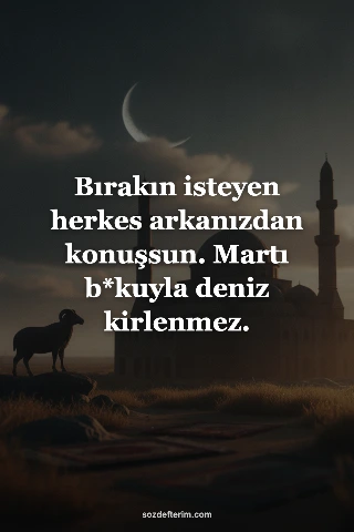 Bırakın isteyen herkes arkanızdan konuşsun. Martı b*kuyla deniz kirlenmez.