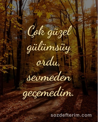 Çok güzel gülümsüyordu, sevmeden geçemedim. — Cemal Süreya
