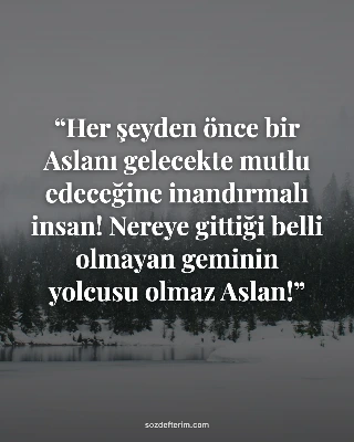 Her şeyden önce bir Aslanı gelecekte mutlu edeceğine inandırmalı insan! Nereye gittiği belli…