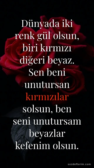 Dünyada iki renk gül olsun, biri kırmızı diğeri beyaz. Sen beni unutursan kırmızılar solsun, ben…