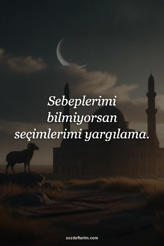 Sebeplerimi bilmiyorsan seçimlerimi yargılama.