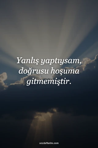 Yanlış yaptıysam, doğrusu hoşuma gitmemiştir.