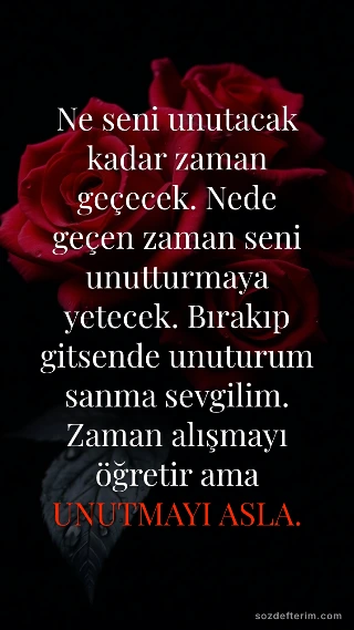 Ne seni unutacak kadar zaman geçecek. Nede geçen zaman seni unutturmaya yetecek. Bırakıp gitsende…